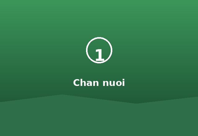 Chăn nuôi