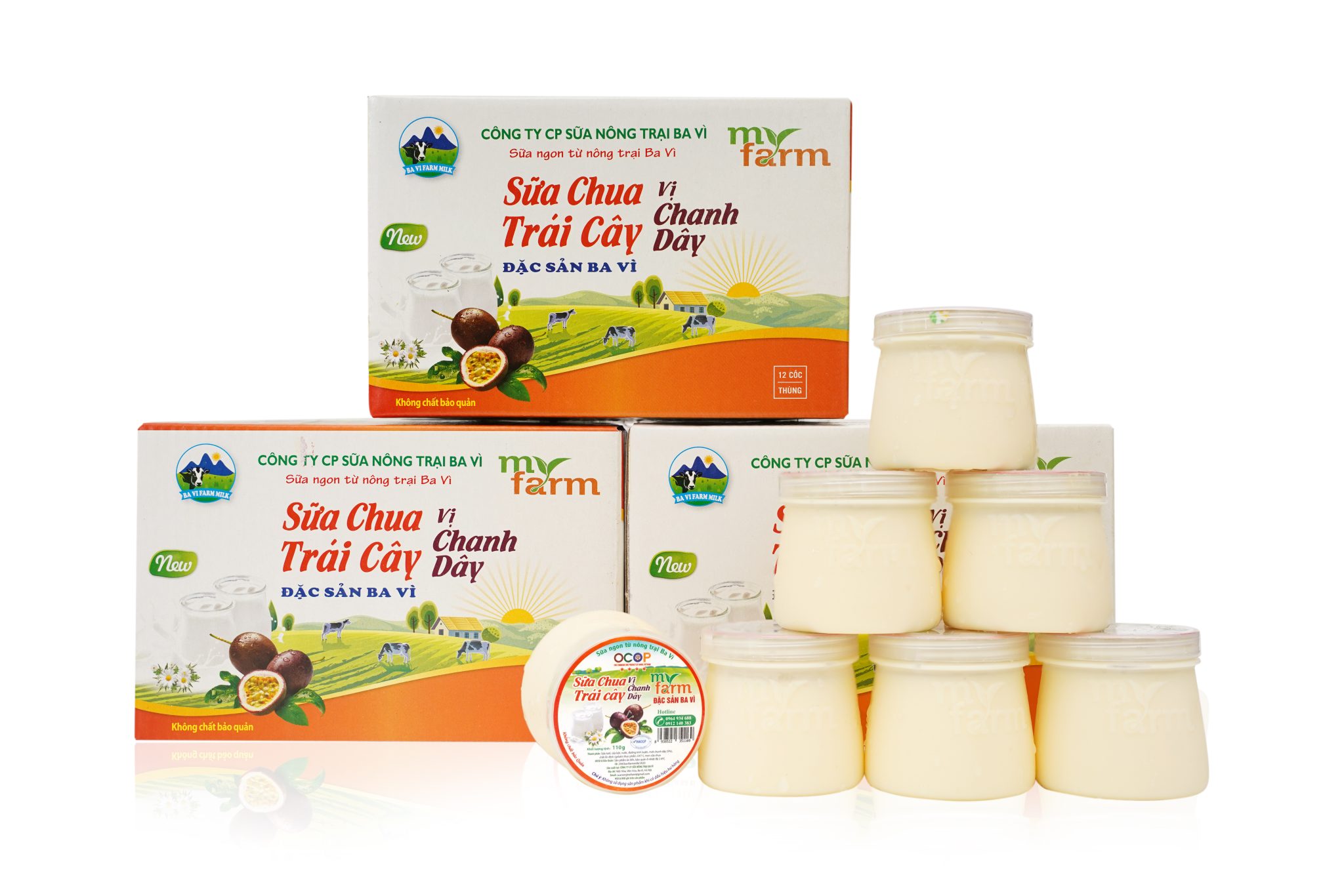 Sữa Chua Trái Cây Vị Chanh Dây