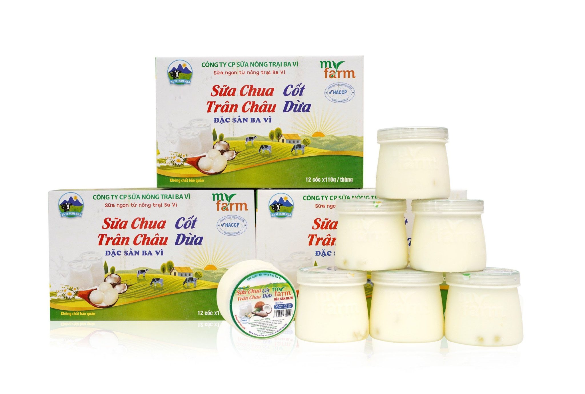 Sữa Chua Trân Châu Cốt Dừa