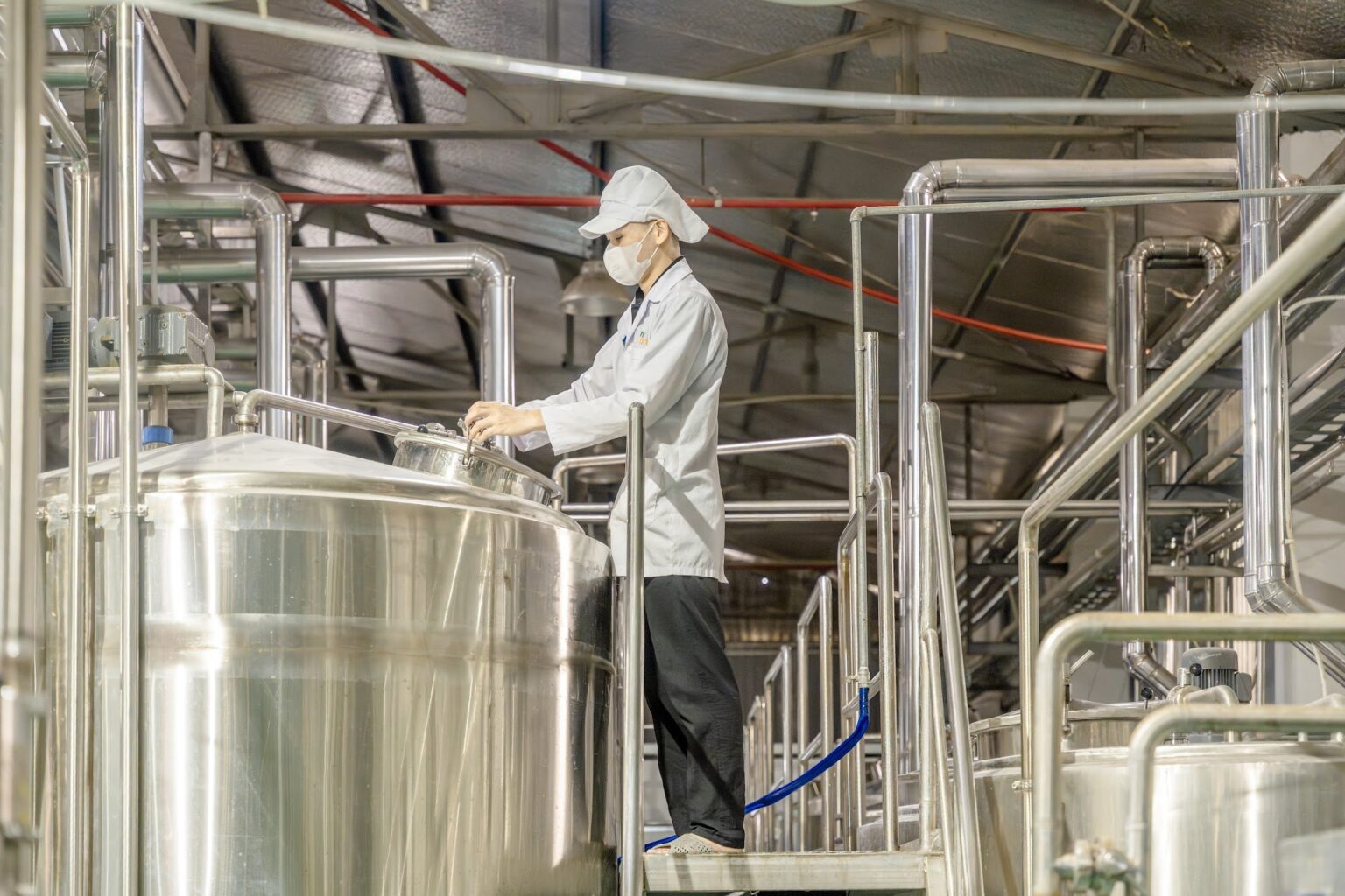 Nhà máy và dây chuyền sản xuất MyFarm
