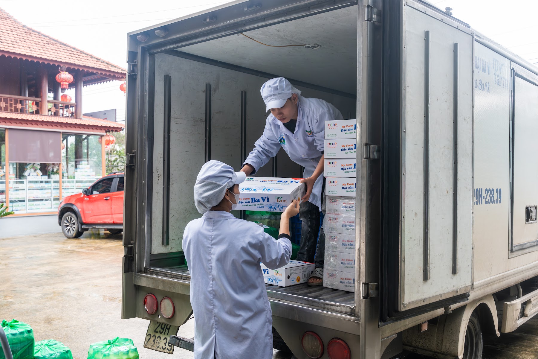 Hình ảnh thực tế tại MyFarm, Ba Vì