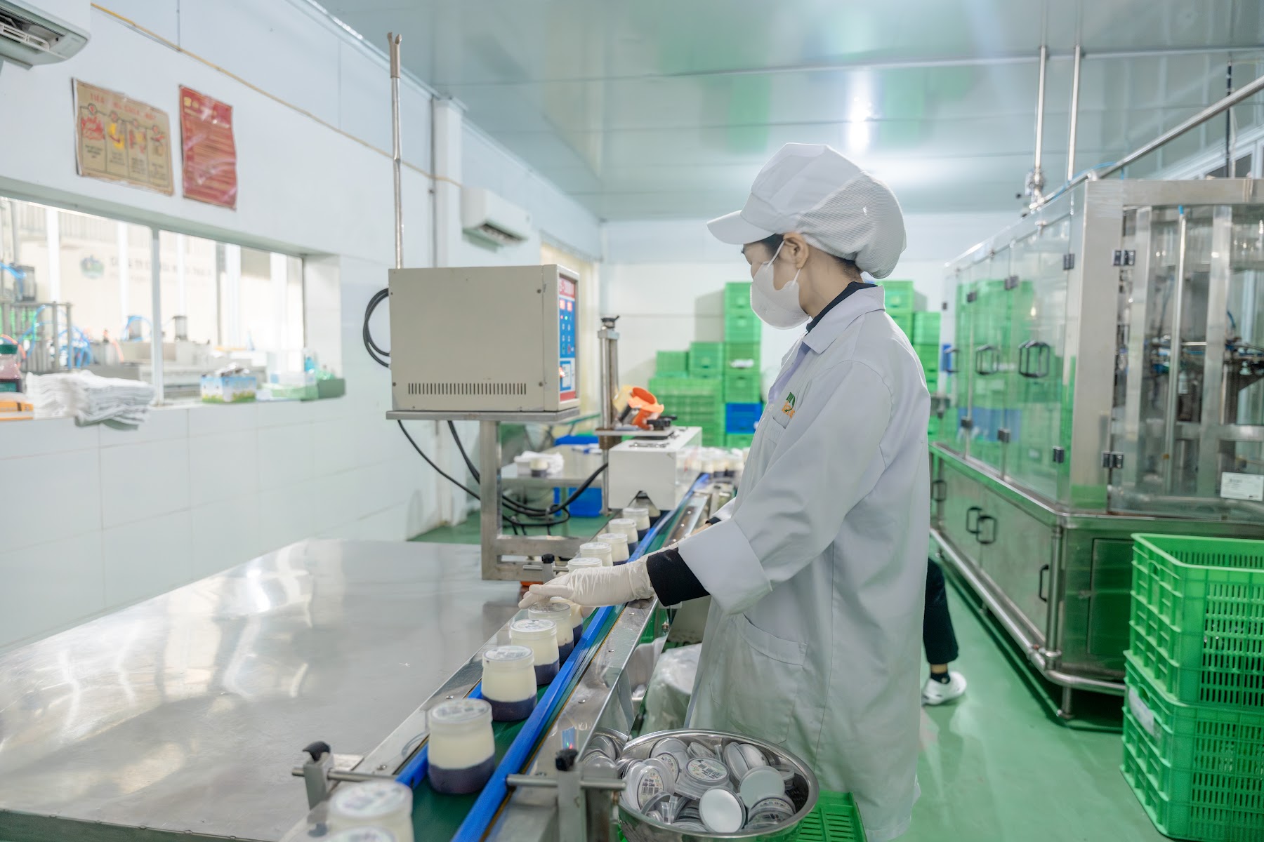 Hình ảnh thực tế tại MyFarm, Ba Vì