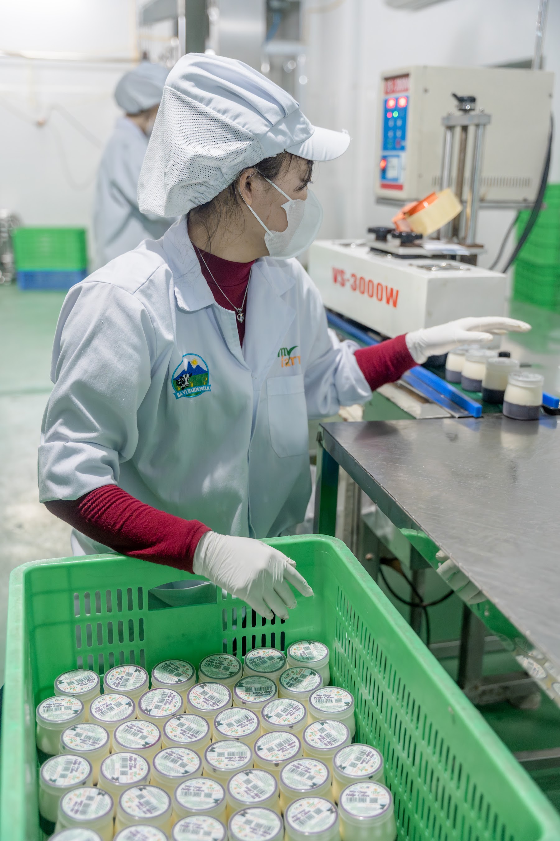 Hình ảnh thực tế tại MyFarm, Ba Vì